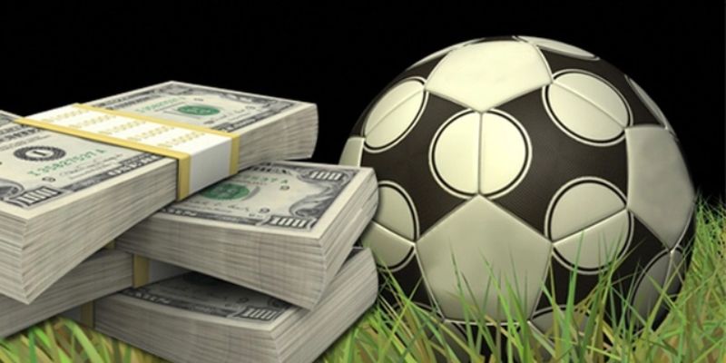 Đẳng cấp sảnh cược số 1 châu Á SBO Sport